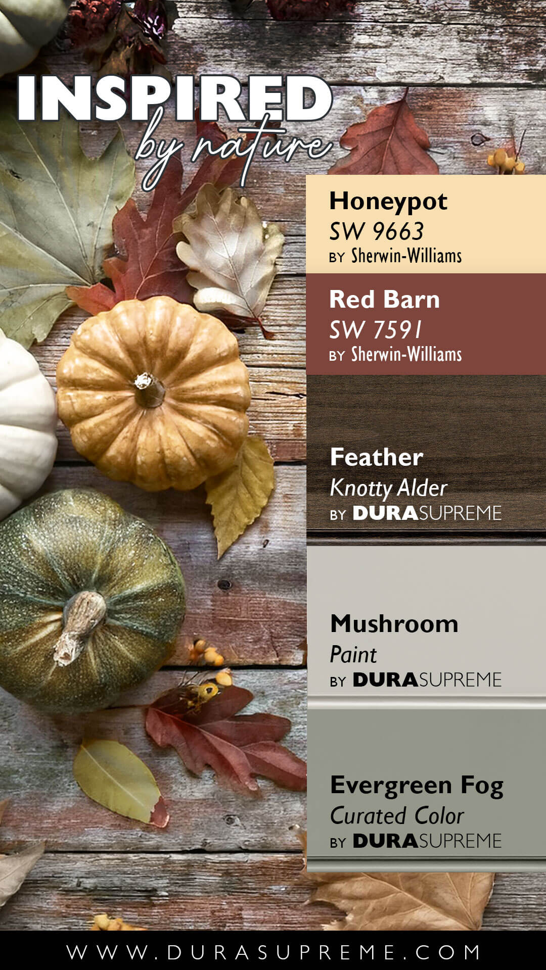 A pretty kitchen design color palette inspired by fall themed colors.